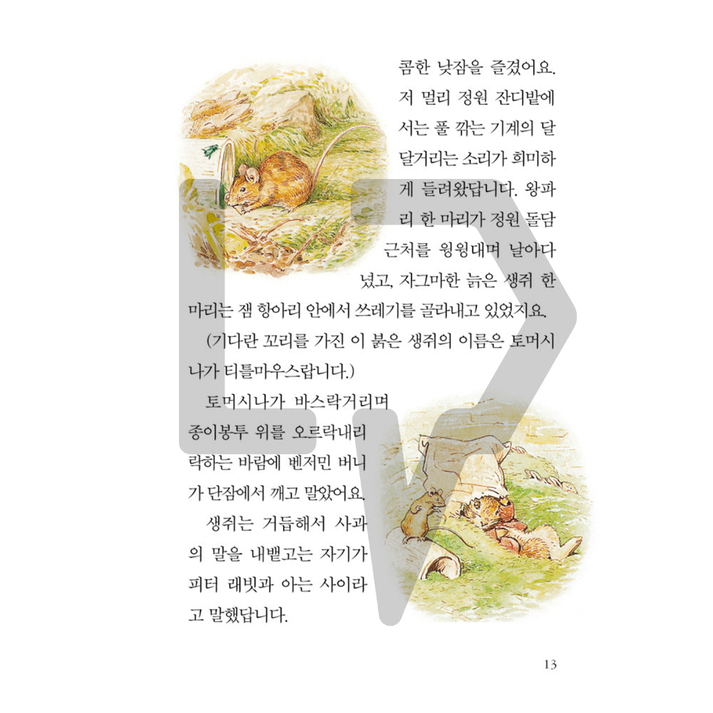 The Tale of Peter Rabbit by Beatrix Potter 피터 래빗 이야기 Vol. 2 - Life Pattern Korea