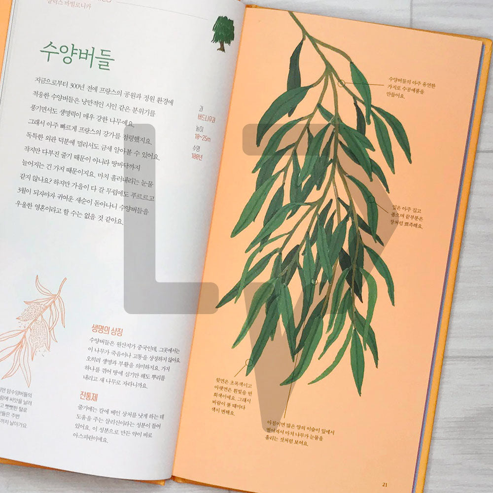 The Place of Trees (Arbres d'ici et d'ailleurs) 나무의 자리