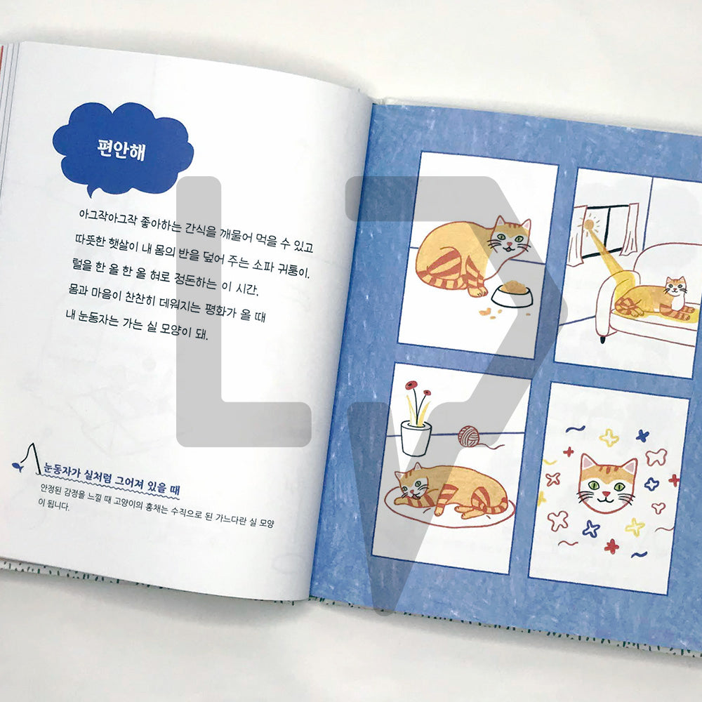 Cat's Mind Dictionary 고양이 마음 사전 - Life Pattern Korea