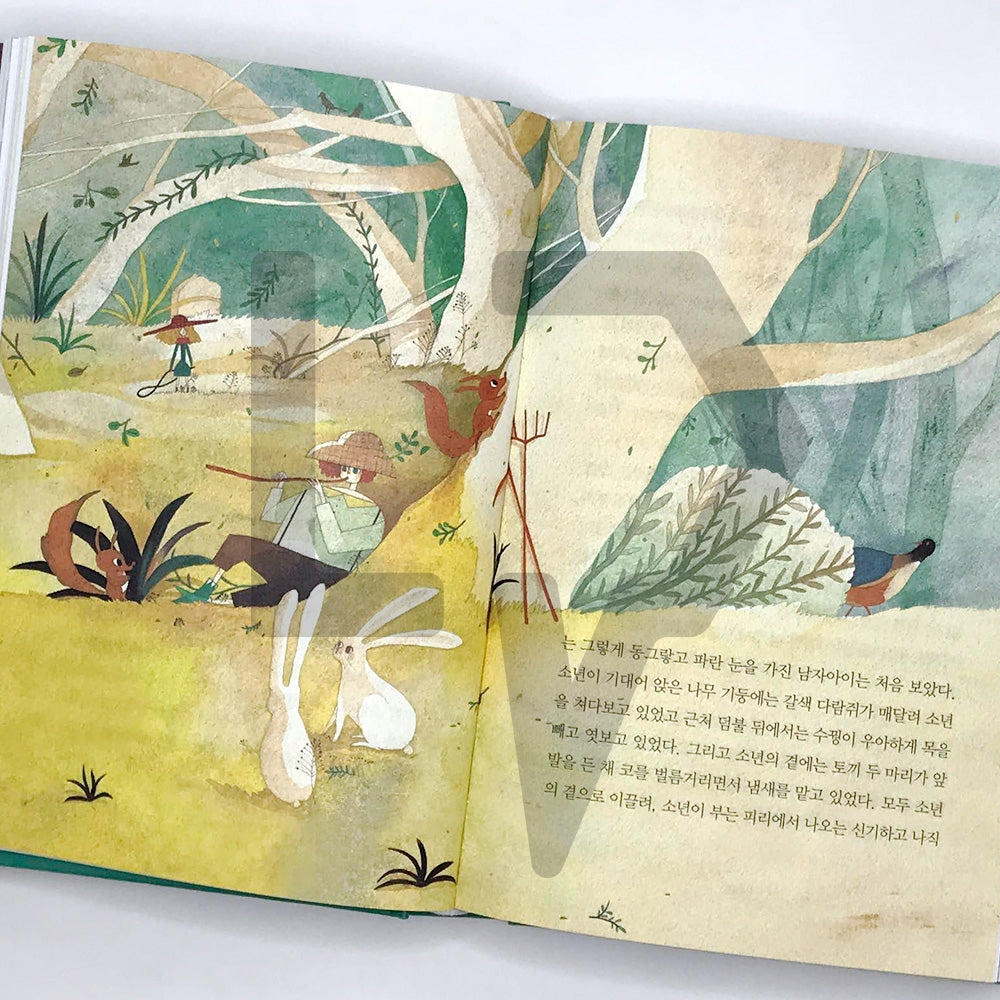 The Secret Garden 비밀의 화원 - Life Pattern Korea