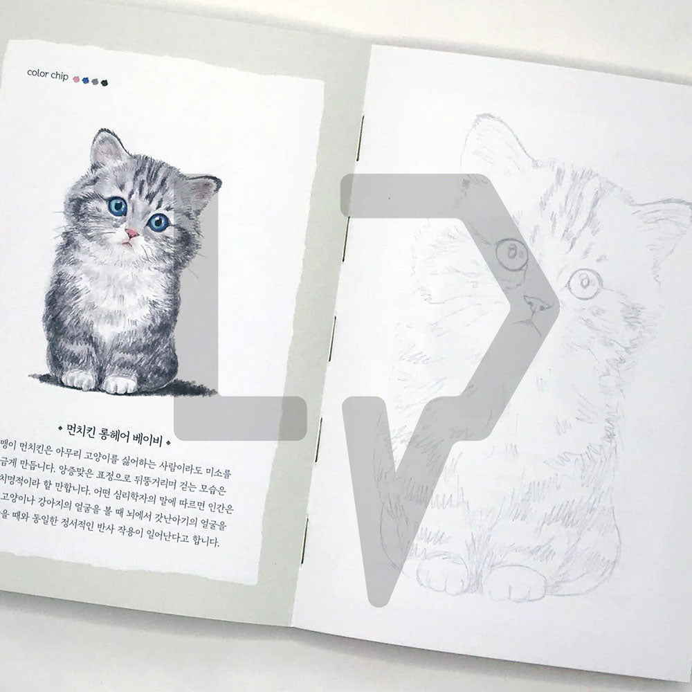 5-Minute Coloring Book Cats 5분 컬러링북 고양이 - Life Pattern Korea