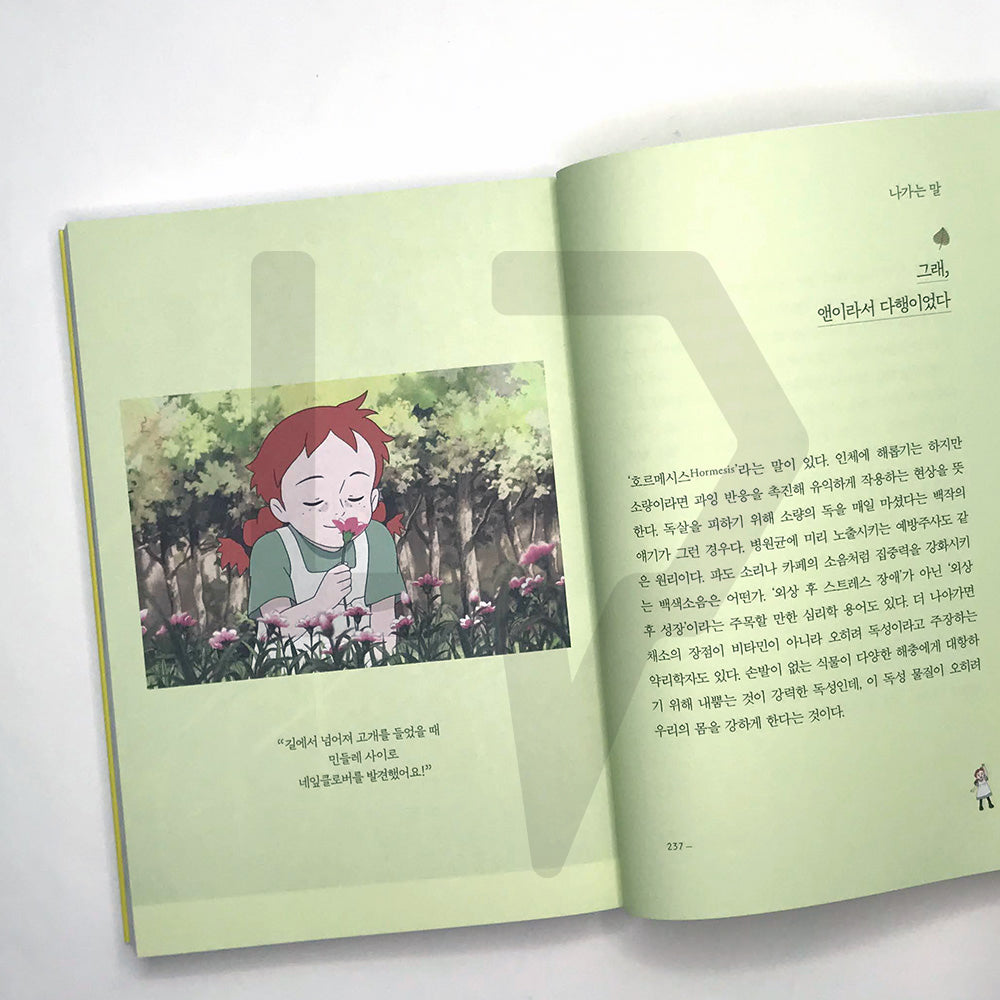 Hello, My Dear Anne of Green Gables 안녕, 나의 빨강머리 앤 - Life Pattern Korea