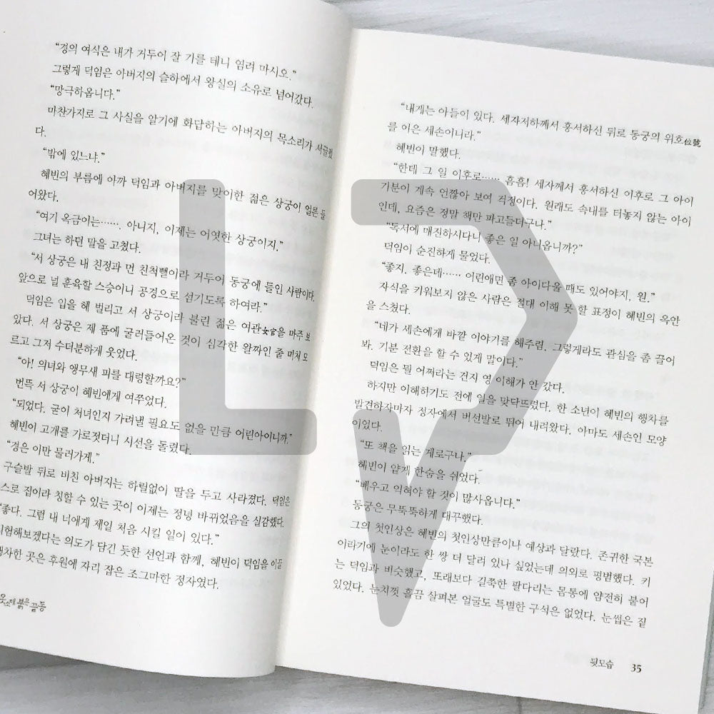 The Red Sleeve 옷소매 붉은 끝동 2022 Revised Vol. 1 - Life Pattern Korea