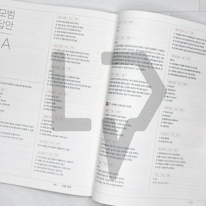Sejong Korean Workbook 세종한국어 익힘책 4A (2022 Edition)