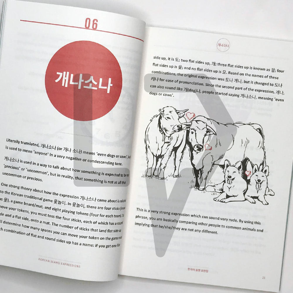 Korean Slang Expressions 한국어 슬랭 표현집 - Life Pattern Korea