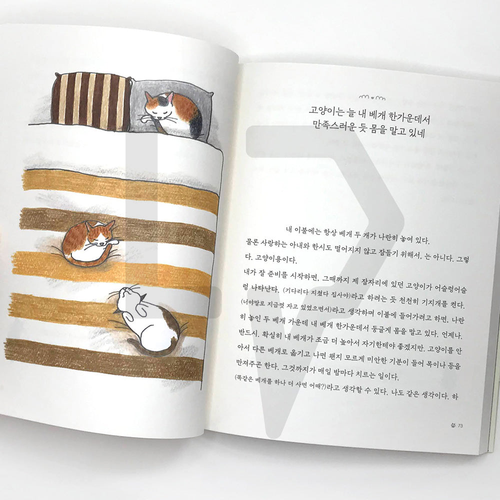 I want to go home where my cats await 고양이가 기다리는 집으로 가고 싶어 - Life Pattern Korea
