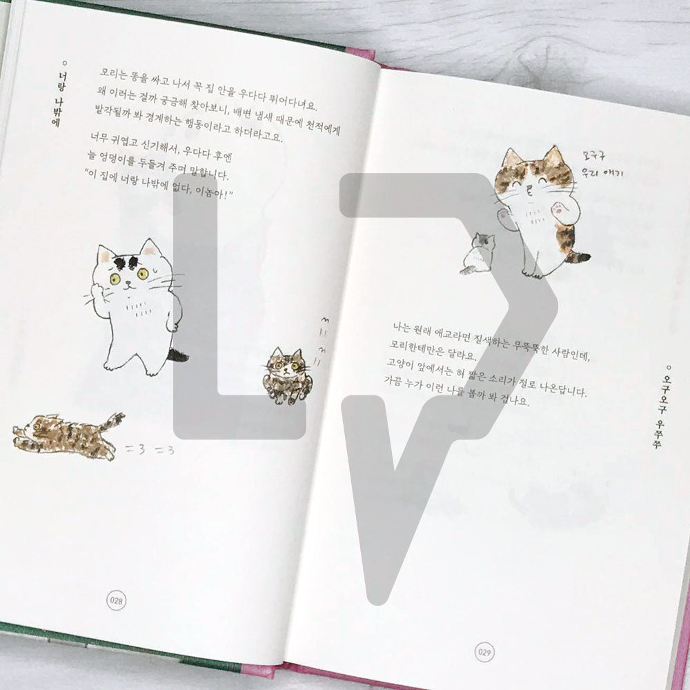 To tell you the charm of cats 고양이의 매력으로 말할 것 같으면 - Life Pattern Korea
