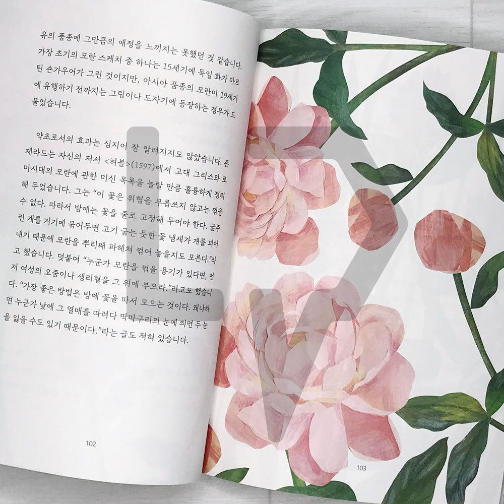 Floriography 꽃말의 탄생 - Life Pattern Korea