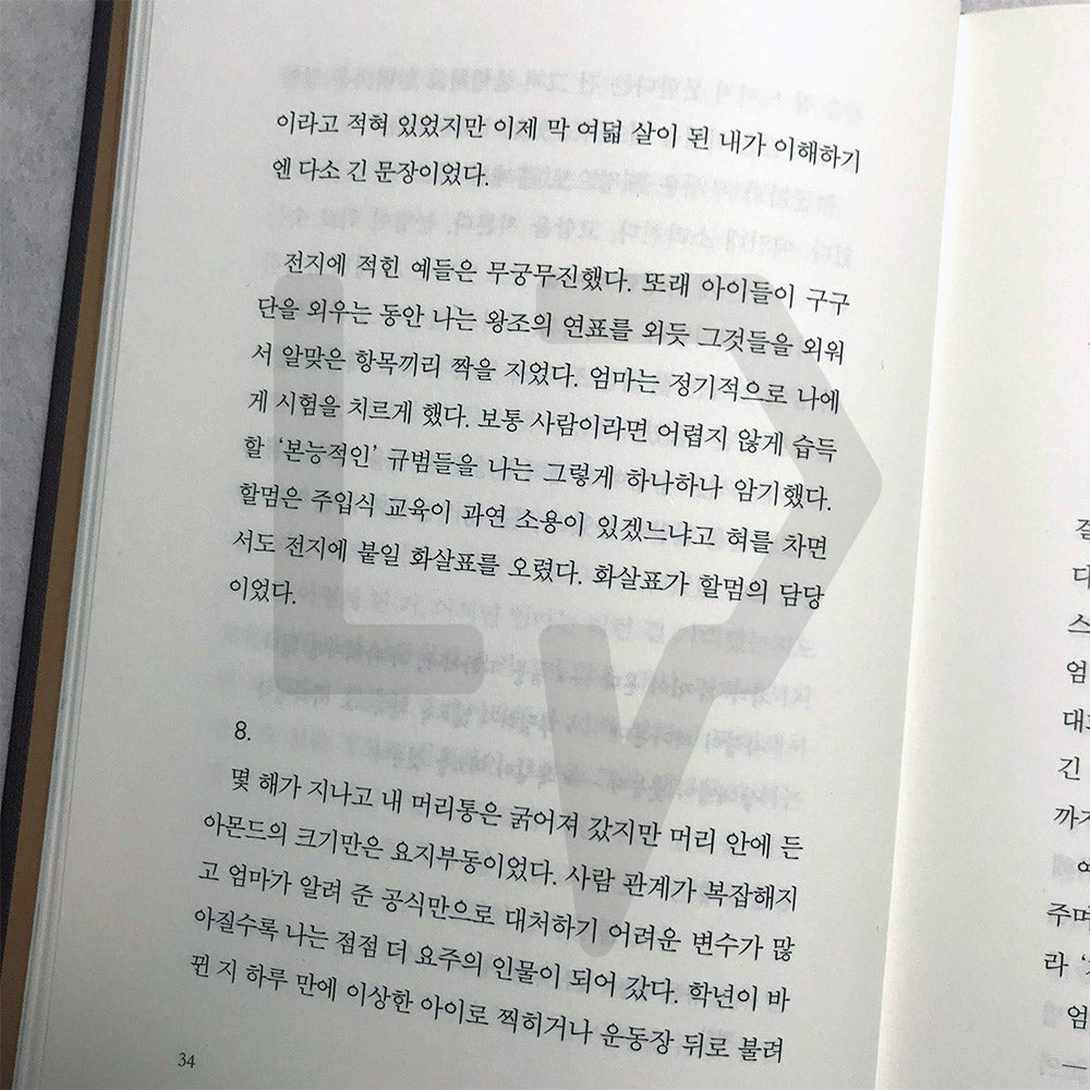 Almond 아몬드 - Life Pattern Korea