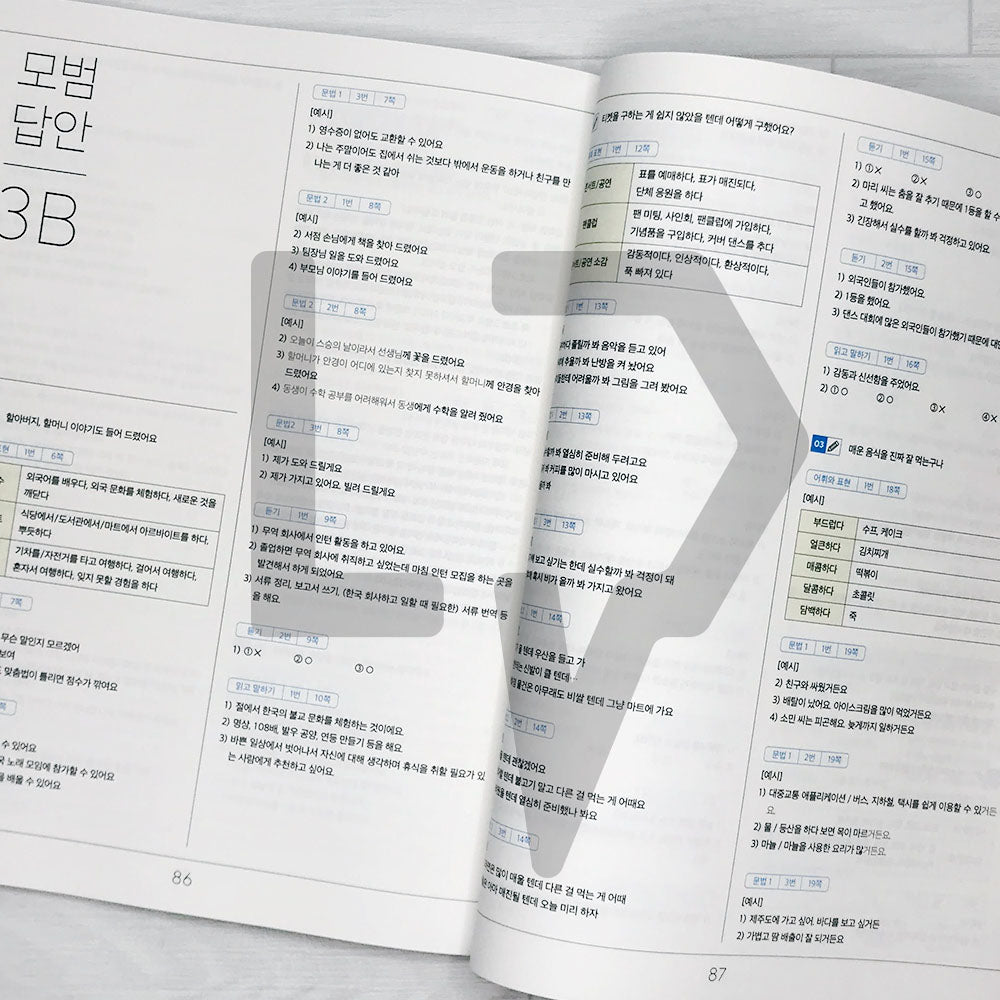 Sejong Korean Extension Activity Book 세종한국어 더하기 활동 3B (2022 Edition)