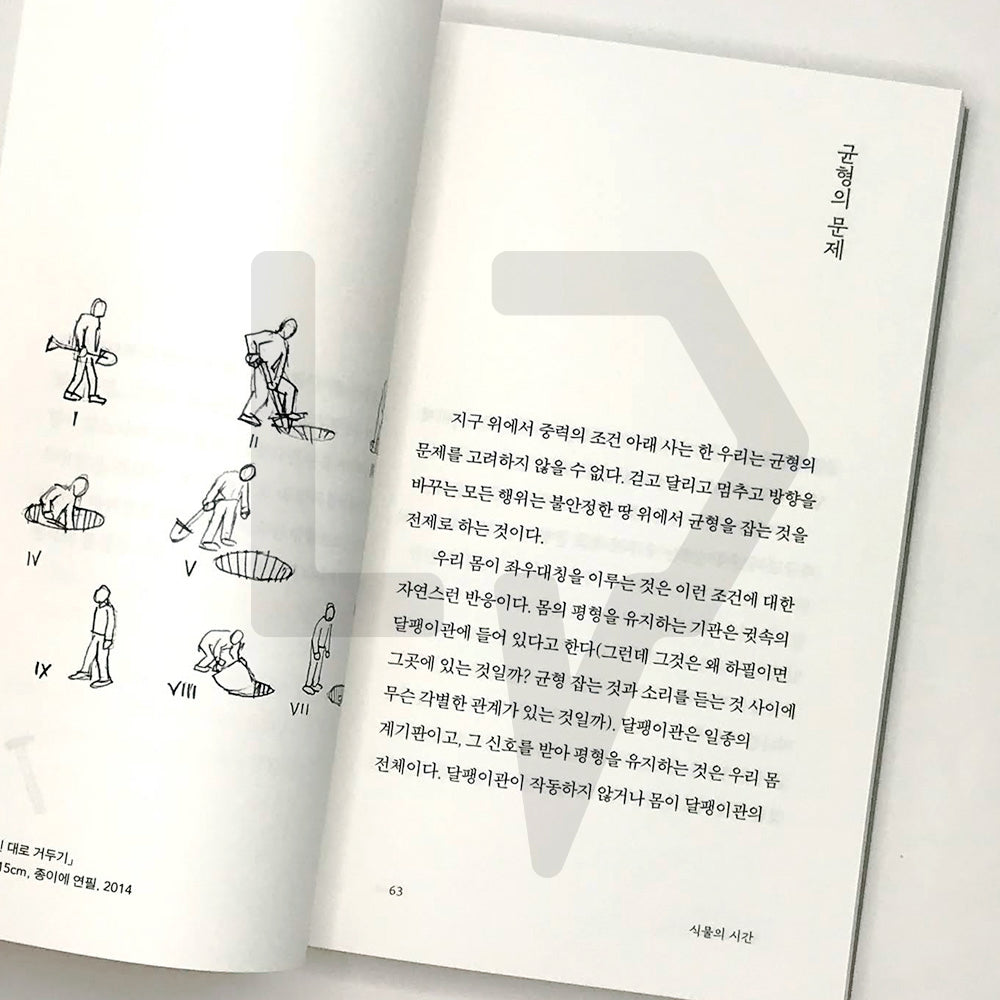 The Other Side of Things 사물의 뒷모습 - Life Pattern Korea