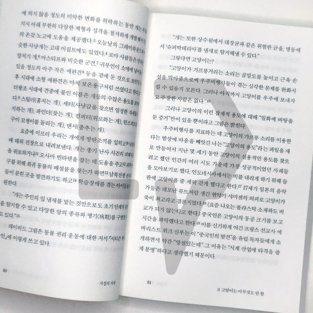 The Lion in the Living Room 거실의 사자 - Life Pattern Korea