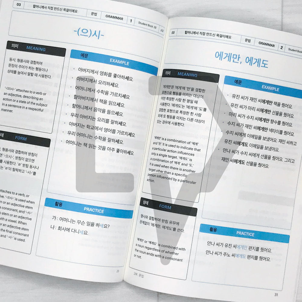 Sejong Korean Vocabulary & Grammar Book 세종한국어 어휘 표현과 문법 2B (2022 Edition)