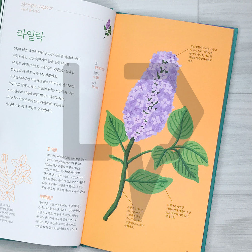 Seasonal Flowers (Fleurs de saison) 꽃의 계절