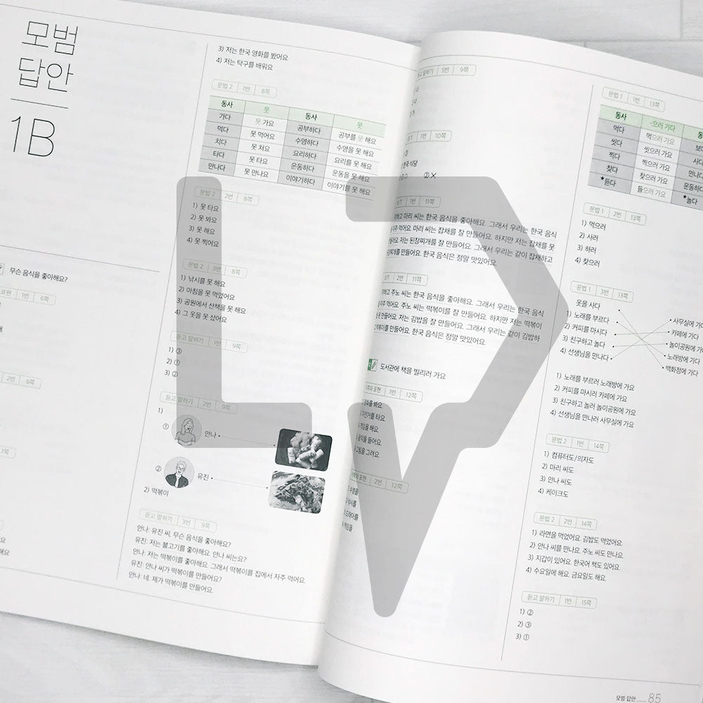 Sejong Korean Workbook 세종한국어 익힘책 1B (2022 Edition)