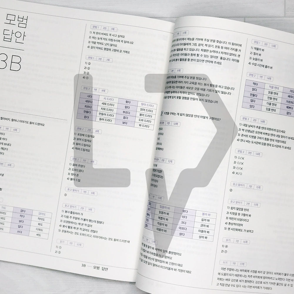 Sejong Korean Workbook 세종한국어 익힘책 3B (2022 Edition)