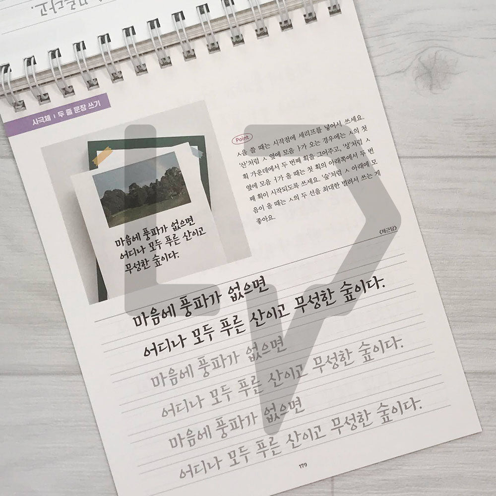I want to be good at Korean handwriting like Callilove Workbook 2 The Sentences of Life 나도 캘리애처럼 손글씨 잘 쓰고 싶어 워크북 2 인생 문장 편 - Life Pattern Korea