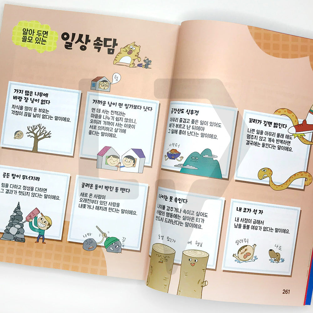 Children's Proverbs Solving in Cartoon Quiz 만화 퀴즈로 푸는 어린이 속담 - Life Pattern Korea