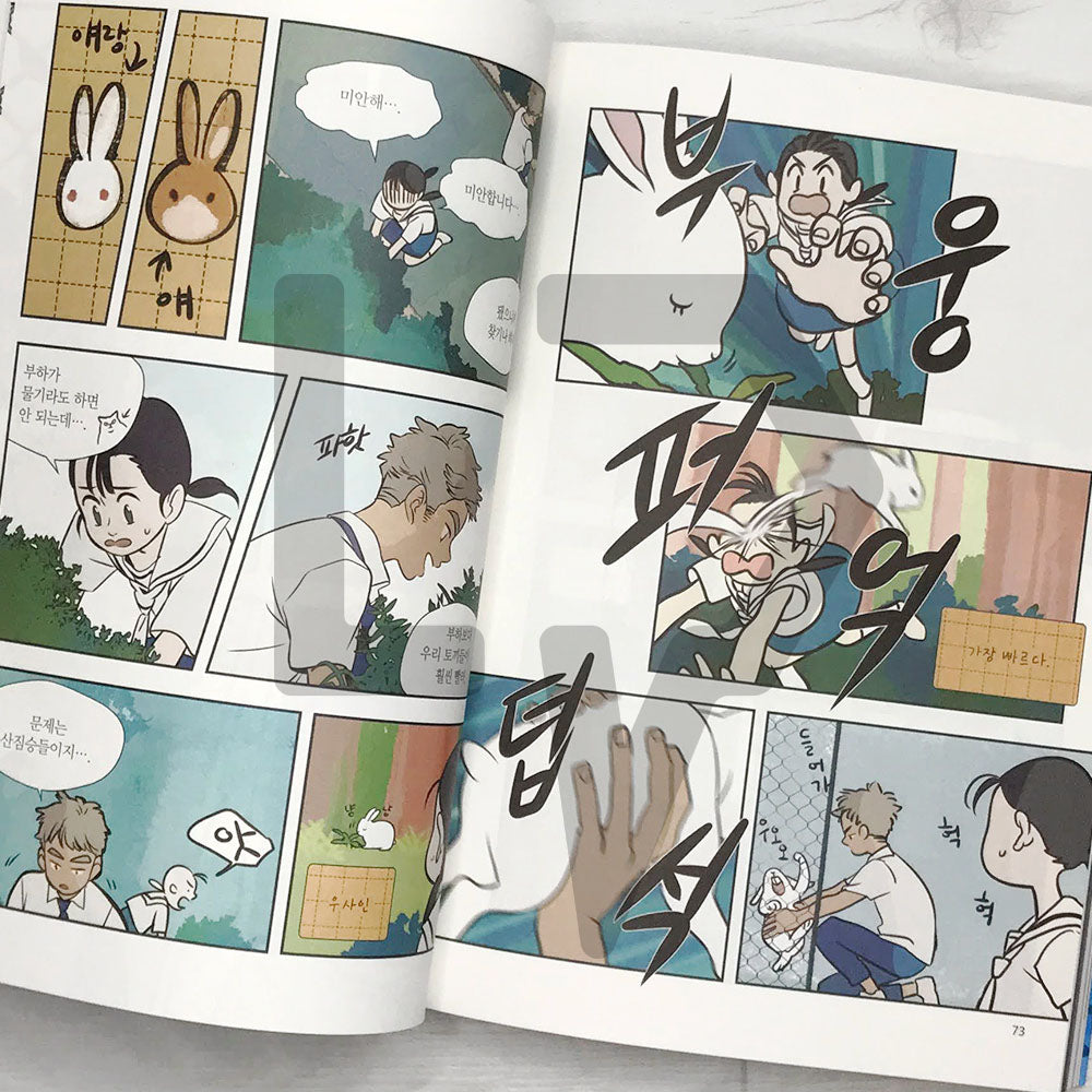 Your Letter 연의 편지 - Life Pattern Korea