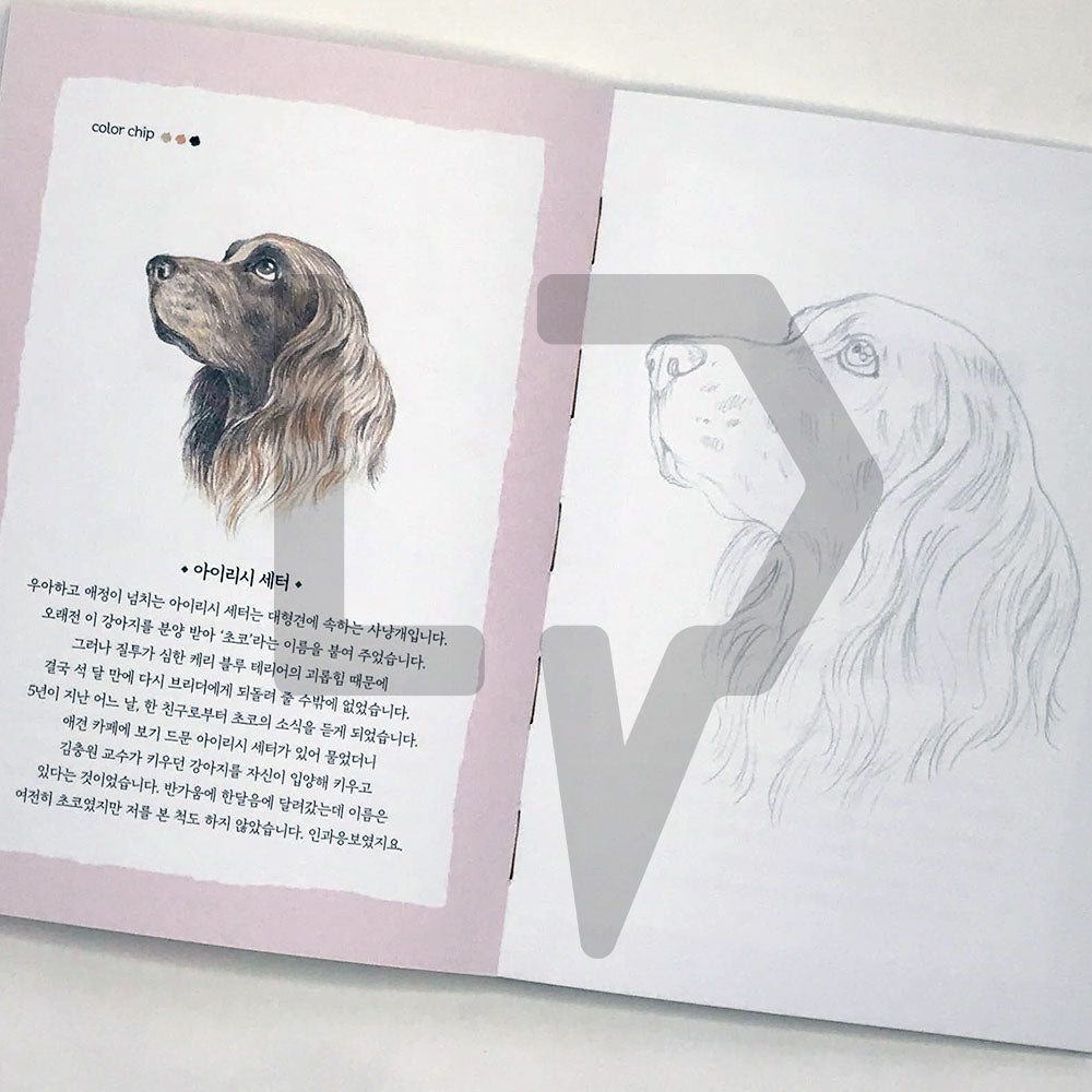 5-Minute Coloring Book Dogs 5분 컬러링북 강아지 - Life Pattern Korea
