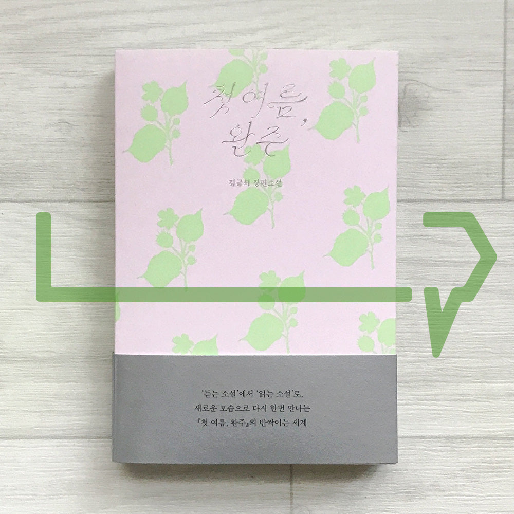 My First Summer, Wanju: Reading Novel Edition 첫 여름, 완주(읽는 소설)