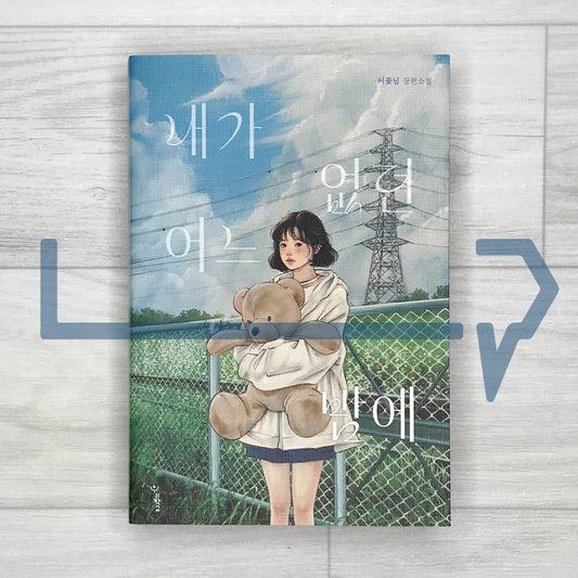 On a Night When I Wasn’t There 내가 없던 어느 밤에