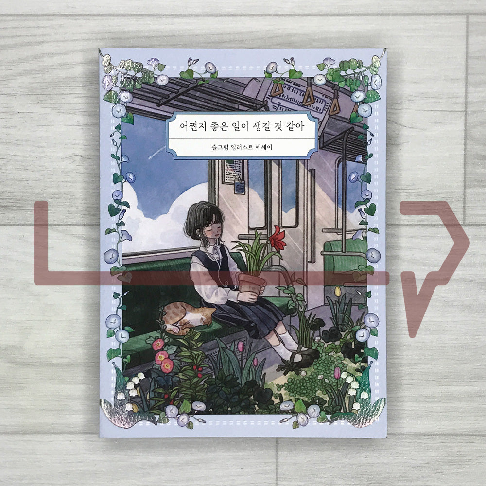 A Feeling That Something Good Is About to Happen: Illustrated Essays by Seulgrim 어쩐지 좋은 일이 생길 것 같아