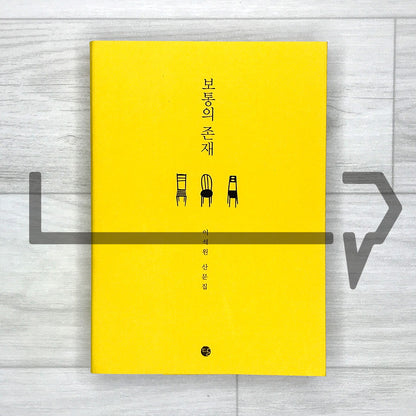 An Ordinary Being 보통의 존재