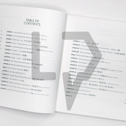 Talk To Me In Korean (TTMIK) Grammar Textbook Level 8 - Life Pattern Korea