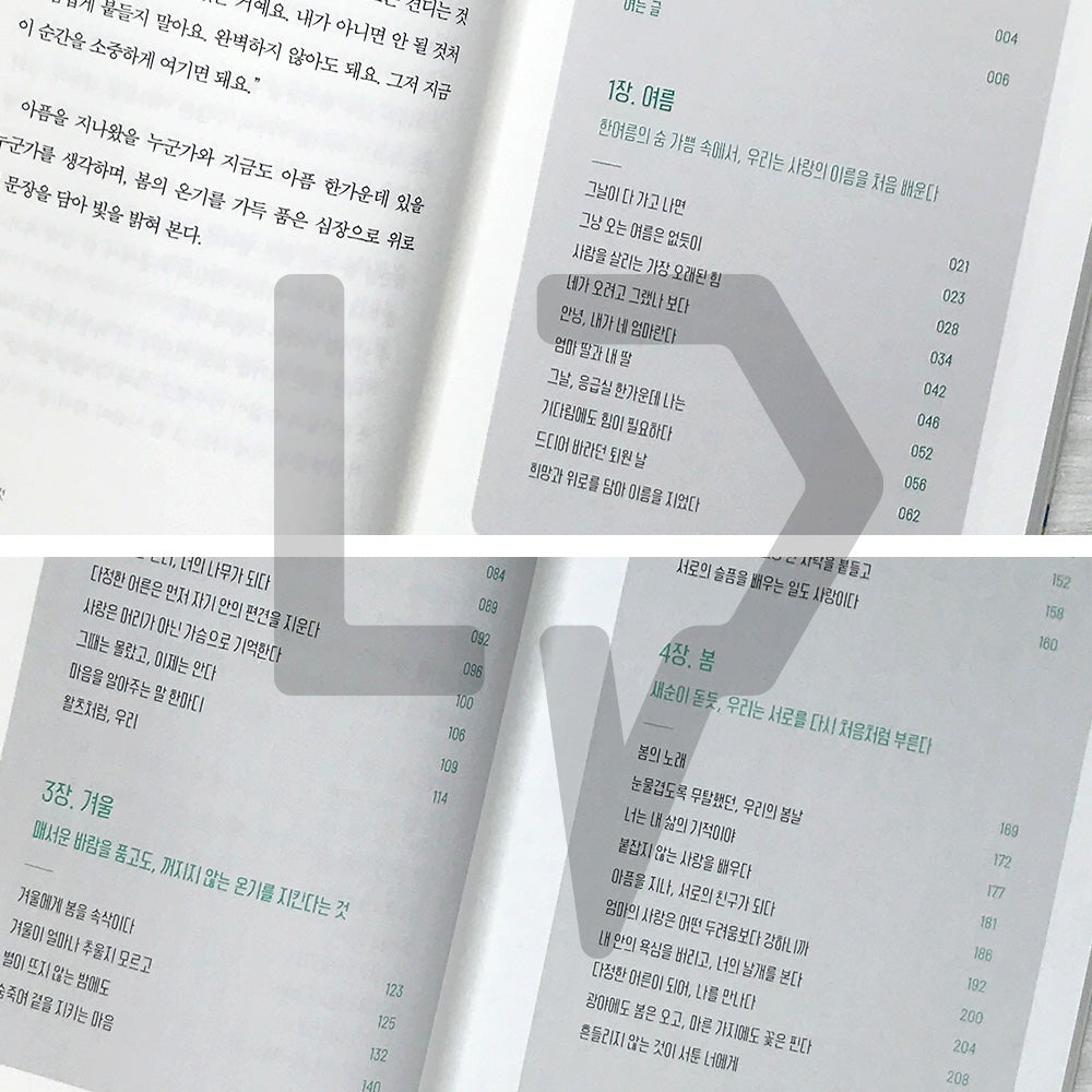 Becoming a Kinder Adult: Spring Comfort After a Long Winter 다정한 어른이 된다는 것: 긴 겨울을 지나온 당신에게 건네는 봄의 위로