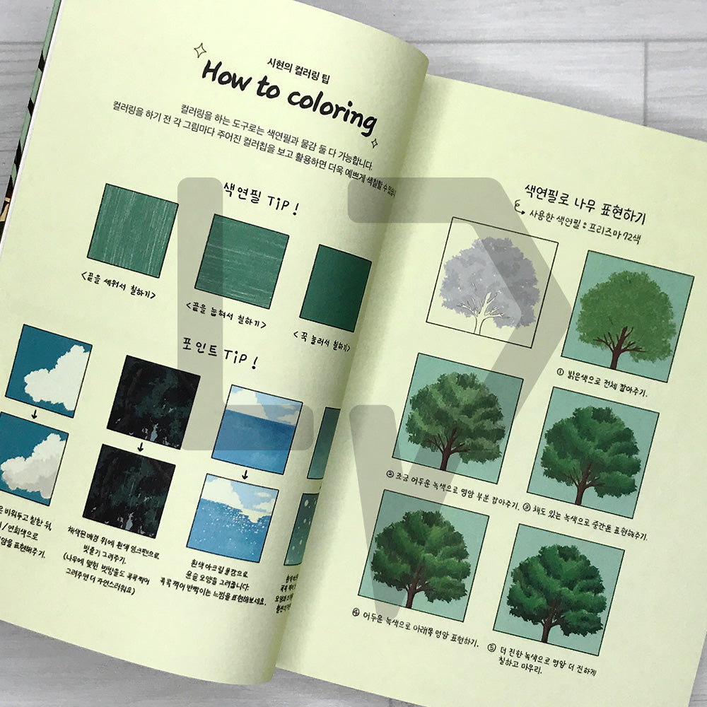 Sihyun's Happy Day: A Sentimental Coloring Book to Paint Your Most Beautiful Memories 시현의 행복한 하루