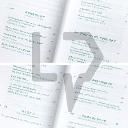 English-Korean Life Dictionary: Finding Life's Meaning Between Korean and English 영한 인생 사전: 두 언어를 오가며 삶의 의미를 발견하는 재미