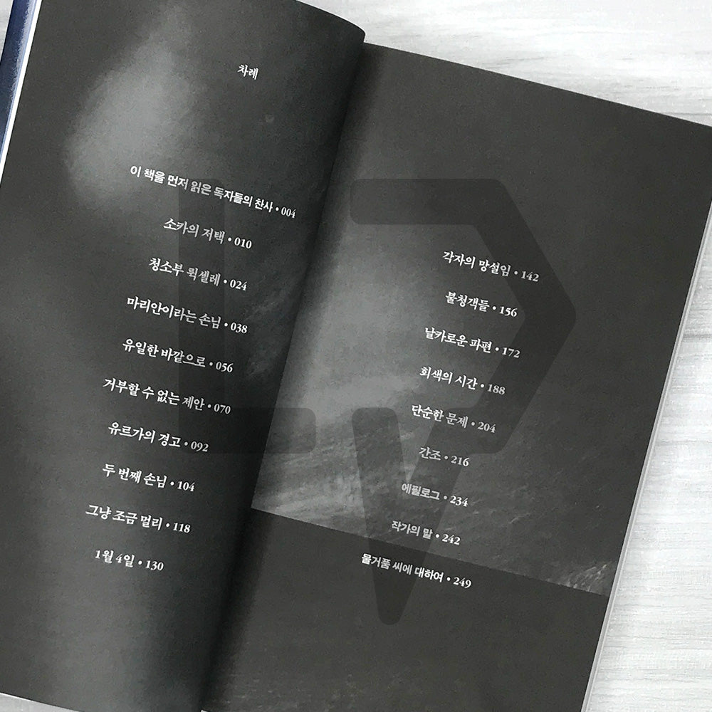 Pieces of Light 빛의 조각들