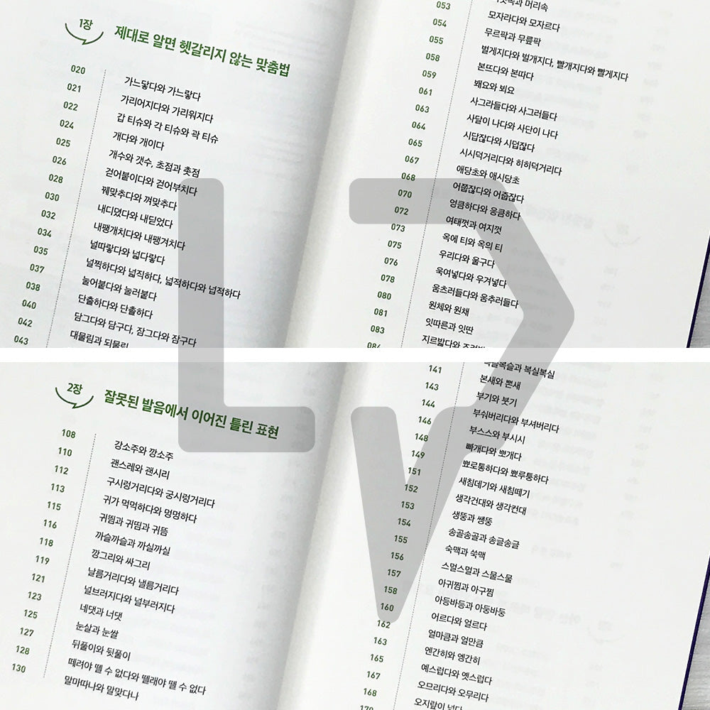 Korean Language Outing: Vocabulary - For Clearer and More Credible Communication 우리말 나들이 어휘력 편