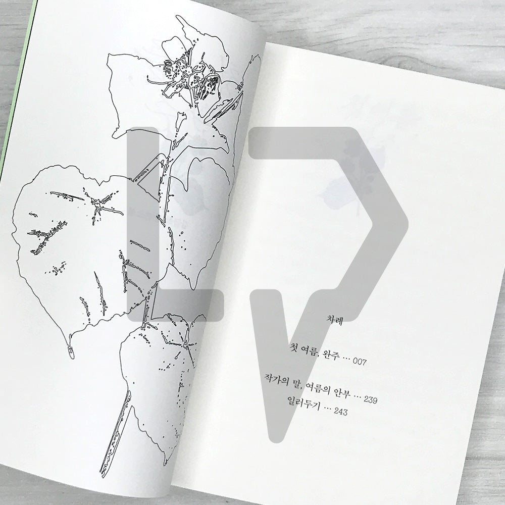 My First Summer, Wanju: Reading Novel Edition 첫 여름, 완주(읽는 소설)