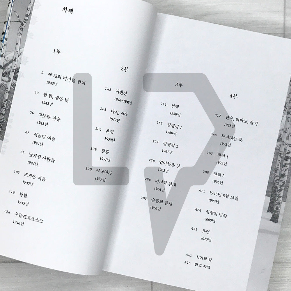 Cracks of Sorrow 슬픔의 틈새