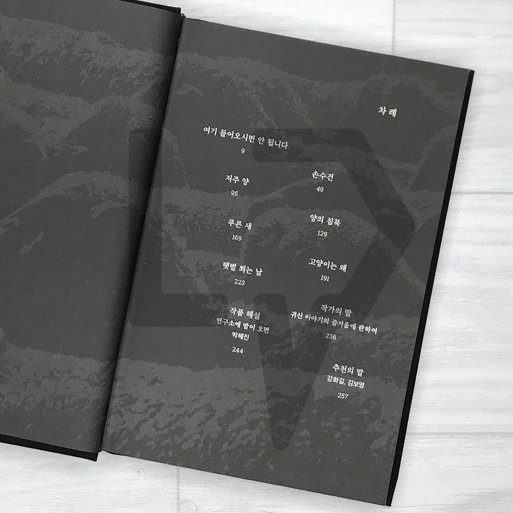 The Midnight Timetable: A Novel in Ghost Stories (2025 Limited Special Edition) 한밤의 시간표 (리커버 양장본 한정판)