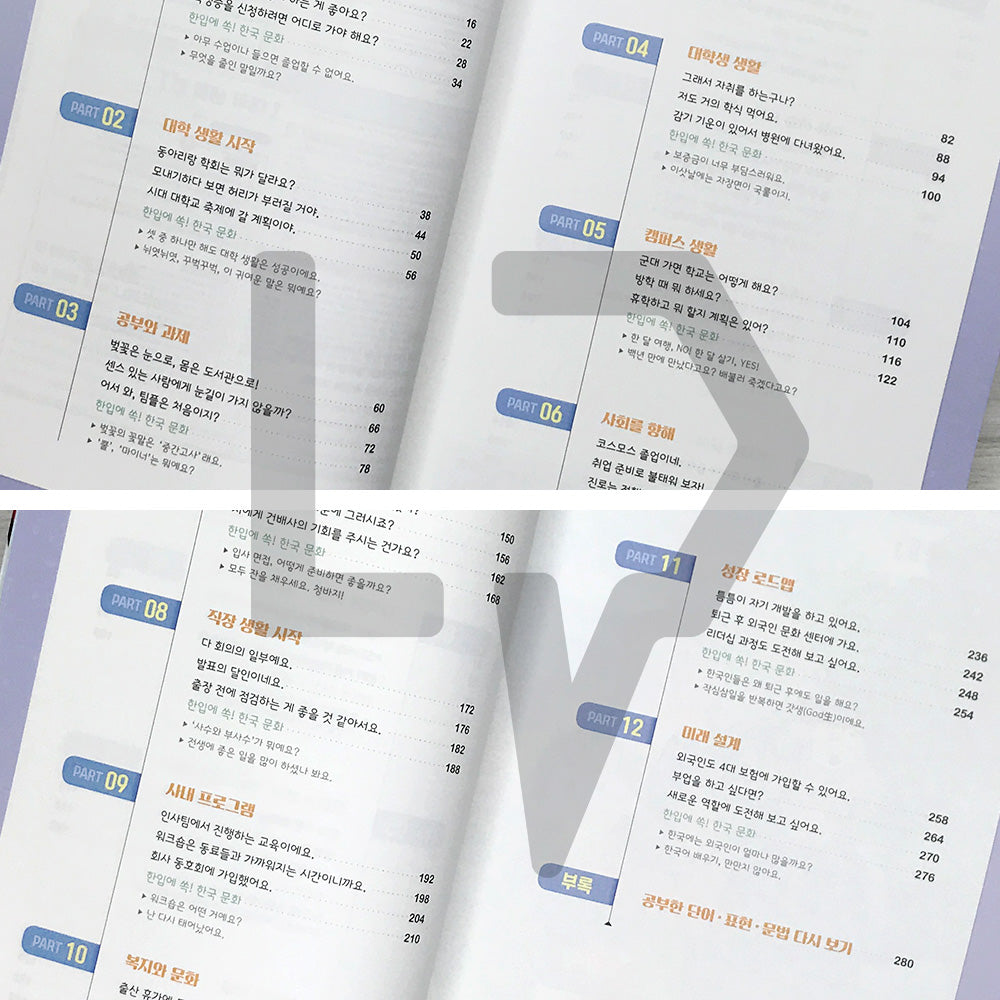Learn and Use Right Away: Chaltteok Korean - Customized Conversations to Settle in Korea 배워서 바로 써먹는 찰떡 한국어 맞춤 회화: 한국에 제대로 정착하기 위한 맞춤 회화