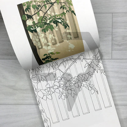 Sihyun's Resting Gaze: A Sentimental Coloring Book of Life's Brightest Days 시현의 시선이 머무는 곳: 가장 빛나는 날들에 색을 입히는 감성 컬러링북