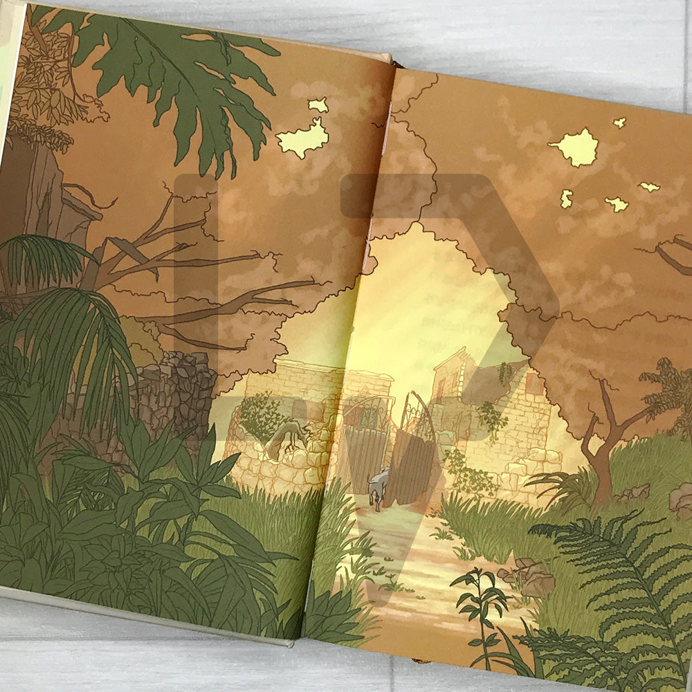 To Nana Olive 나나 올리브에게