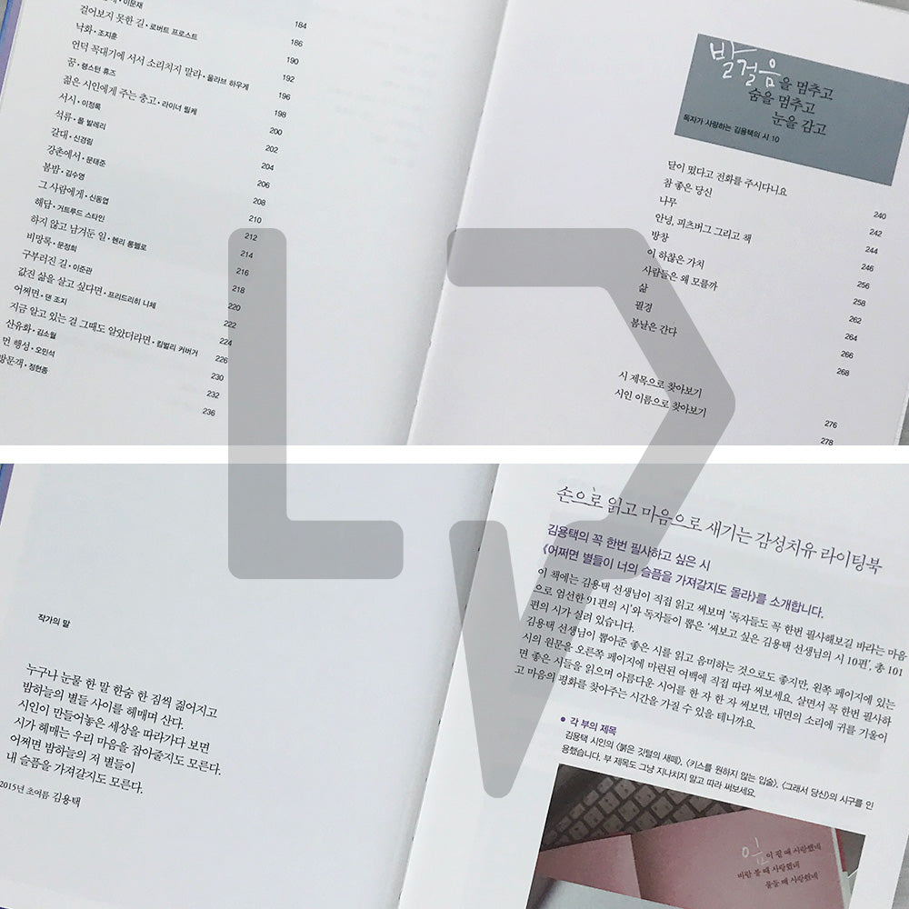 Maybe the Stars Will Take Away Your Sadness 어쩌면 별들이 너의 슬픔을 가져갈지도 몰라 - 10th Anniversary Hardcover Edition