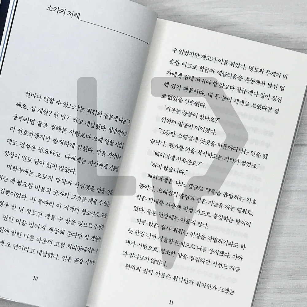 Pieces of Light 빛의 조각들