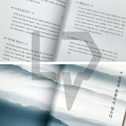 The Buddha's Words: A Modern Interpretation Loved for 2,500 Years 초역 부처의 말: 2500년 동안 사랑받은