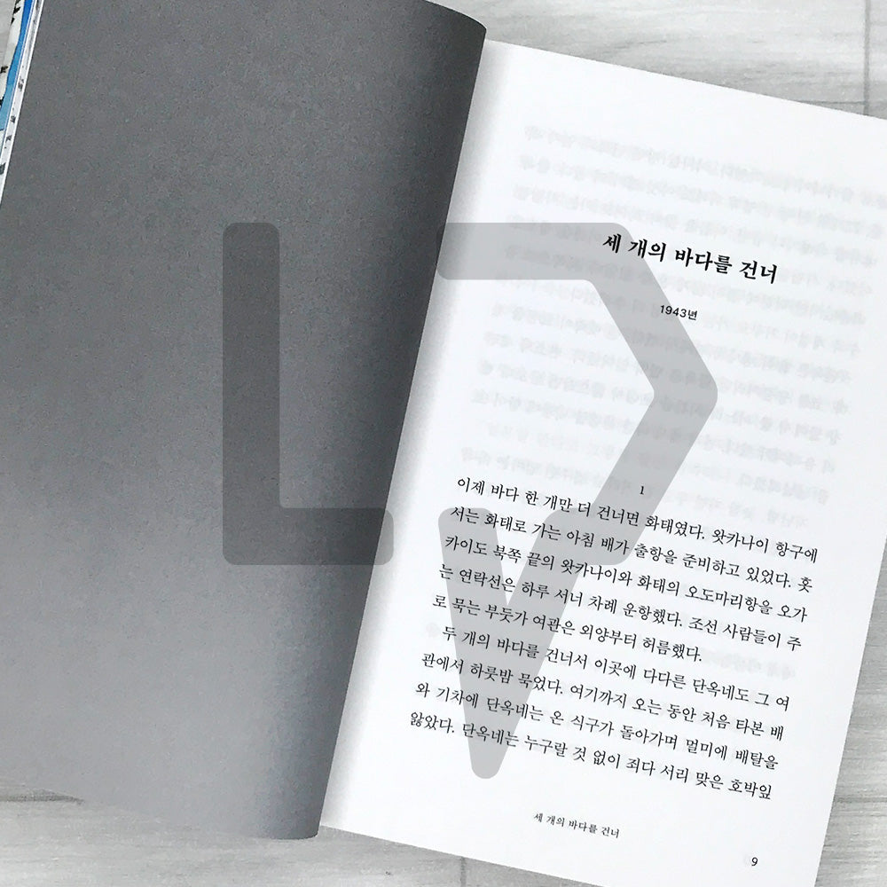 Cracks of Sorrow 슬픔의 틈새