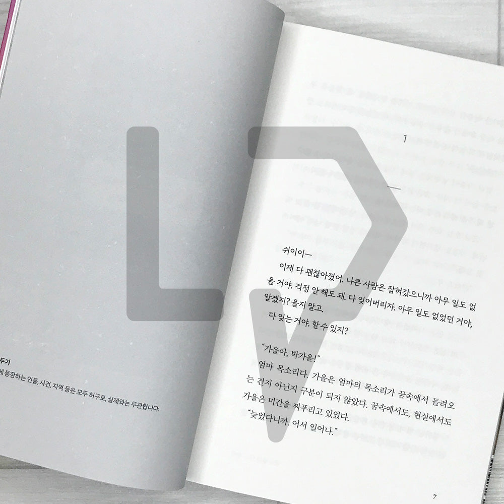 On a Night When I Wasn’t There 내가 없던 어느 밤에