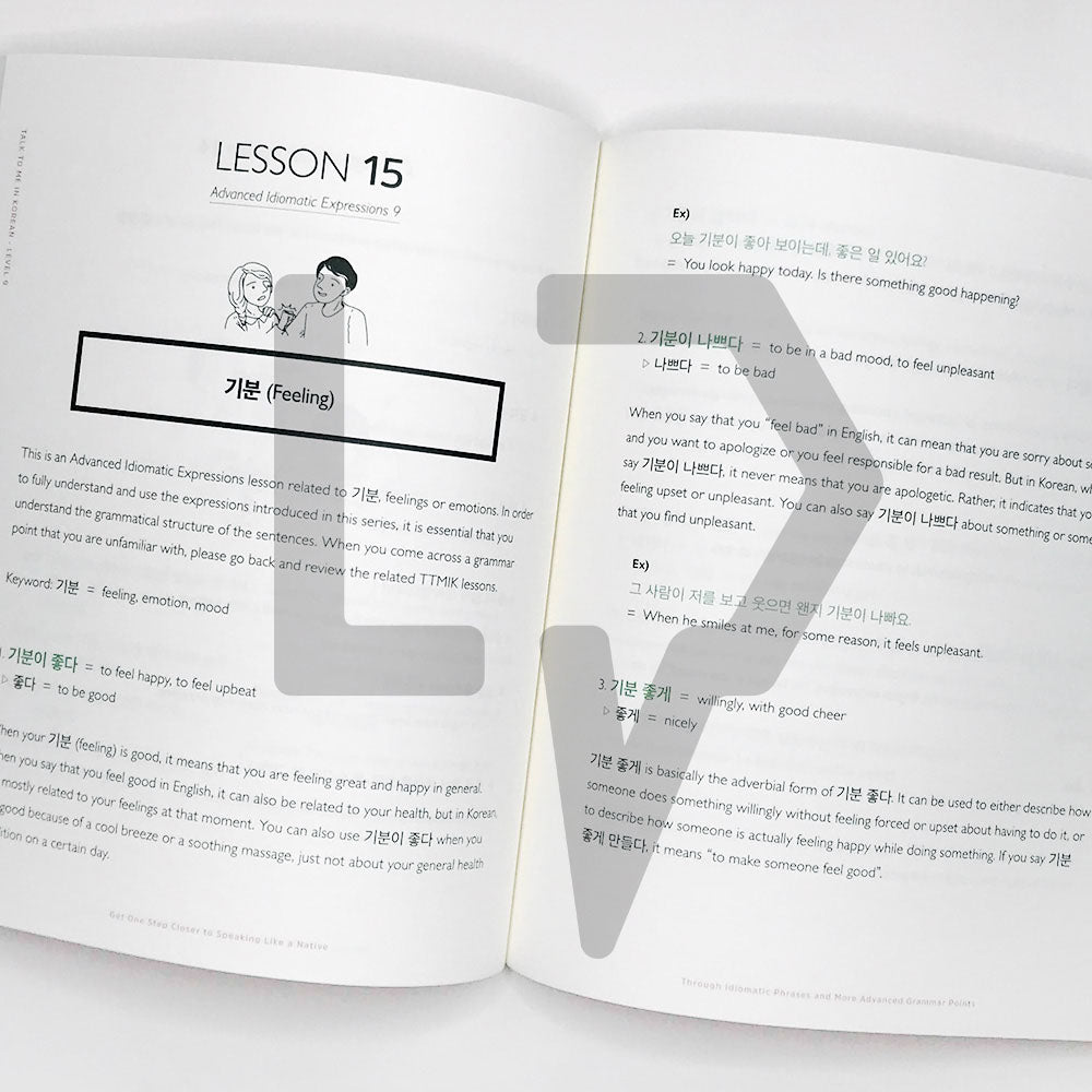 Talk To Me In Korean (TTMIK) Grammar Textbook Level 9 - Life Pattern Korea
