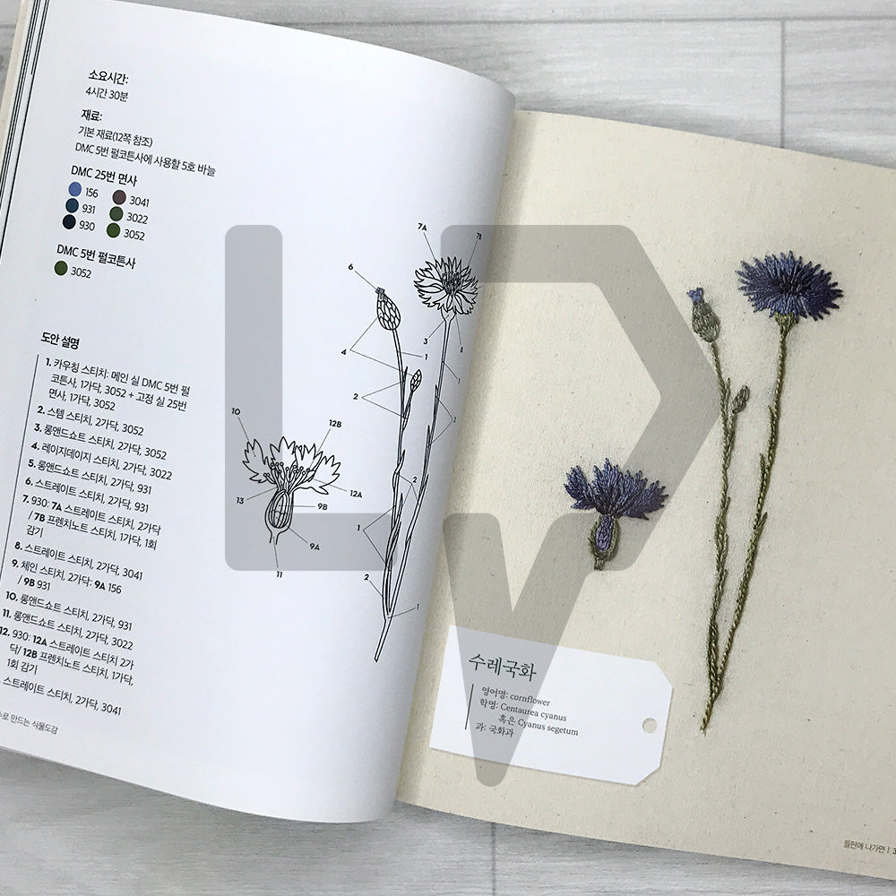 Embroidering Plants and Flowers for Beginners 프랑스 자수로 만드는 식물도감: 33 Plants to Stitch