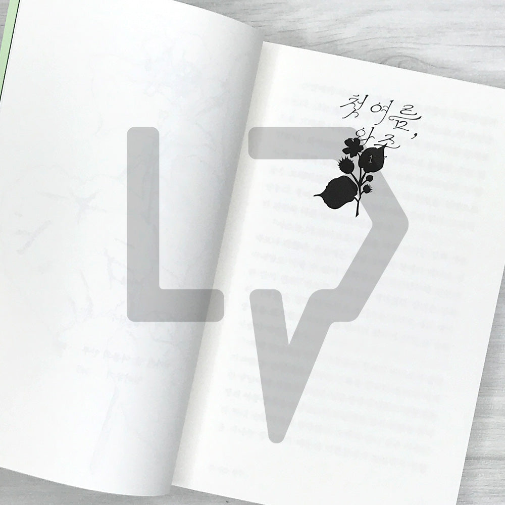 My First Summer, Wanju: Reading Novel Edition 첫 여름, 완주(읽는 소설)