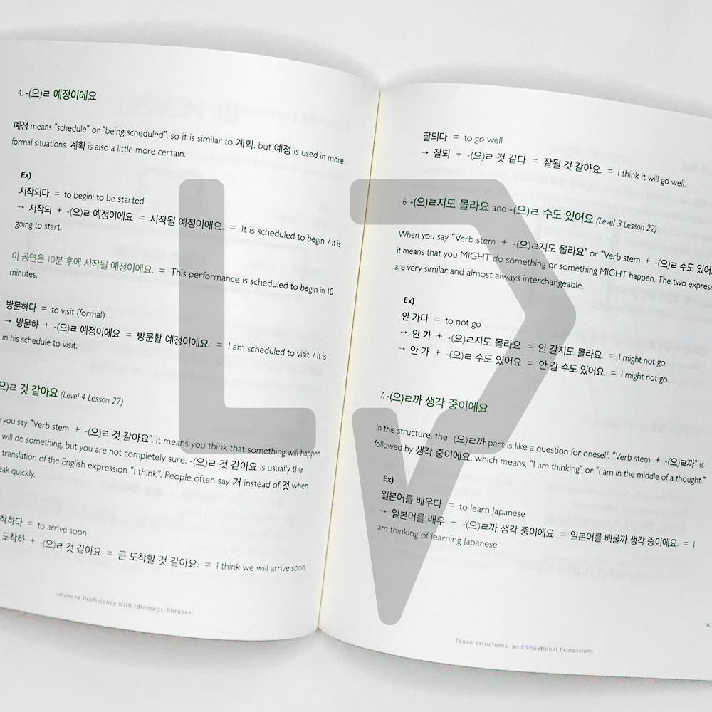 Talk To Me In Korean (TTMIK) Grammar Textbook Level 8 - Life Pattern Korea