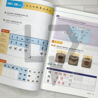 Basic Daily Korean Level 1